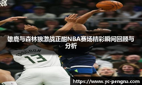 雄鹿与森林狼激战正酣NBA赛场精彩瞬间回顾与分析