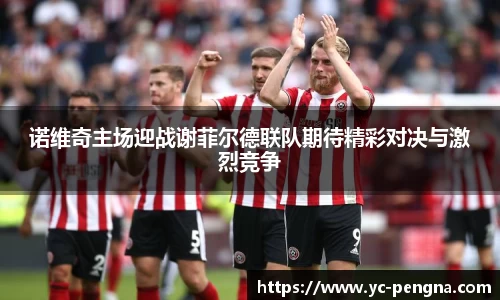 诺维奇主场迎战谢菲尔德联队期待精彩对决与激烈竞争